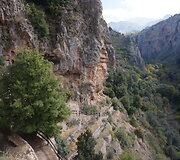 Libano kalnai