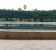 Žalia oazė Beirute