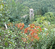 Apartamentai Casa sotto la Torre