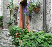 Boveglio