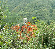 Boveglio