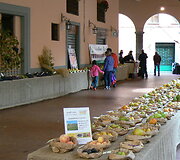 Castelnuovo Di Garfagnana