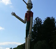 Collodi