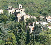 Collodi