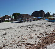 Kelionė Meksikoje
