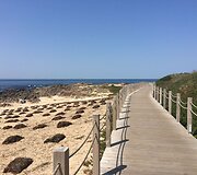 Pakeliui į salas: Nuo Porto iki Vigo