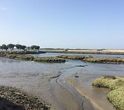 Pakeliui į salas: Nuo Porto iki Vigo
