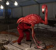 Pasiruo&scaron;imas festivaliui