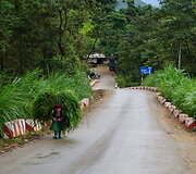 Kelionė Vietname