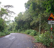 Kelionė Vietname