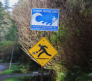 Plaukiojimas banglente lapkritį, Tofino