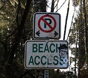 Plaukiojimas banglente lapkritį, Tofino
