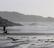 Plaukiojimas banglente lapkritį, Tofino