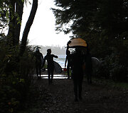 Plaukiojimas banglente lapkritį, Tofino