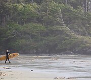 Plaukiojimas banglente lapkritį, Tofino