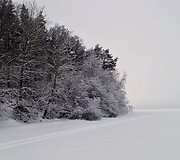 Žiemos žygis ledu