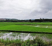 Kelionė Vietname
