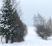 Meironi&scaron;kiai 