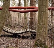 Daučionių rekreacinis parkas