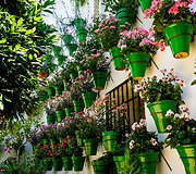 Kordobos senamiesčio kiemeliai