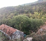 Lauryno ir Domanto kelionė