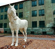 Daugpilio tvirtovė