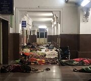 Lauryno ir Domanto kelionė