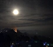 Lauryno ir Domanto kelionė