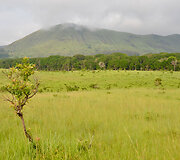 Lope parko flora ir fauna