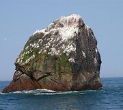 Rockall sala