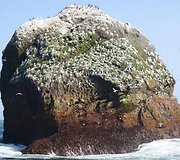 Rockall sala