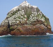 Rockall sala