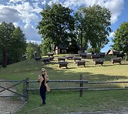 Senoviniai aviliai Bitininkystės muziejuje