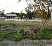 Rytų Timoro provincijos vaizdai