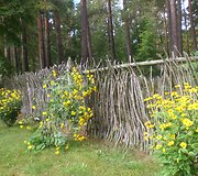 Etnografinis muziejus Rygoje