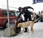 Tarnybinis &scaron;uo oro uoste