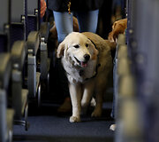 Tarnybinis &scaron;uo oro uoste