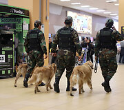 Tarnybinis &scaron;uo oro uoste