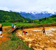 Su &scaron;eima Vietname