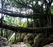 Double decker tiltas Meghalaya regione
