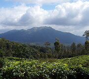 Vajanadas 
