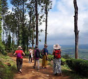 Vajanadas 