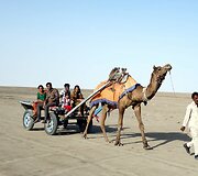 Great Rann of Kutch. Vietinis transportas