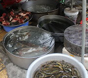 Vietnamo virtuvė