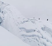 Kopimas į Manaslu