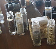 Kambodžos pipirų plantacijos