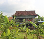 Kambodžos pipirų plantacijos