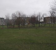 Kėdainiuose atkastos masinės kapavietės