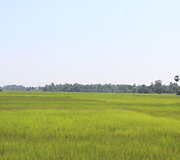 Kelionė Kambodžoje