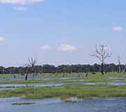 Kelionė Kambodžoje